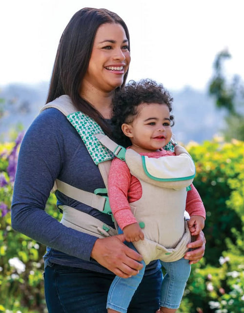 Load image into Gallery viewer, Flip 4-In-1 Convertible Baby Carrier, 4-Position, Unisex, 8-32Lbs, Rainbow
