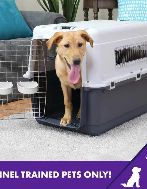 Load image into Gallery viewer, Plastic Dog IATA Airline Approved Kennel Carrier, Large
